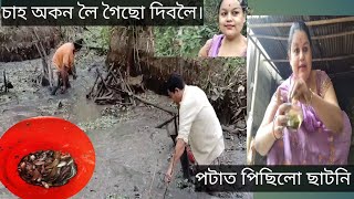 আজি মাছ কেইটামান পালে ডাঙৰ পুখুৰিটো সিছি।বিলাহী অলপ বেলেগধৰনে ছাটনি বনালো ।