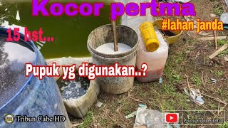 Kocor pertama 15hst.musim 2023/2024