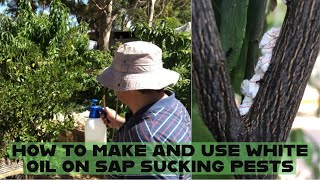 How to Make \u0026 Use White Oil to Treat Sap Sucking Pests: Recipe and tips and hints on how to use it.