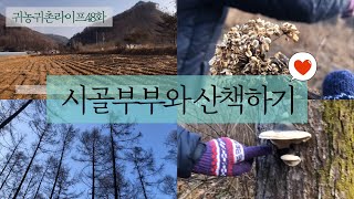 귀농귀촌라이프|korea country life vlog 48화| 산속에서 발견한 어마어마한 것 들시골아지매와 시골아지배 산책, 당귀, 힐링, 버섯, 싸리나무, ASMR, 시골일기