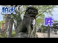 【狛犬・四山神社】熊本・福岡県大牟田市との県境近くの神社