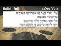 הלל מלא הלל שלם