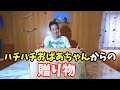 ハチハチおばあちゃんからの贈り物【こちらハチハチCooking】