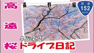 高遠桜ドライブ日記ダイジェスト2【高遠城址公園編】