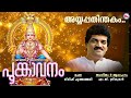 അയ്യപ്പ തിന്തകം.. ayyappa devotional song malayalam hindu devotional mg sreekumar