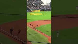 【日ハム  HR】2023.5.13 vsロッテ戦　江越覚醒！！！2試合連続HR！！