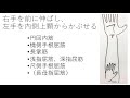 【学生必見：暗記不要！】前腕屈筋の覚え方。円回内筋、橈側手根屈筋、長掌筋、深・浅指屈筋、尺側手根屈筋が秒で覚えられる！