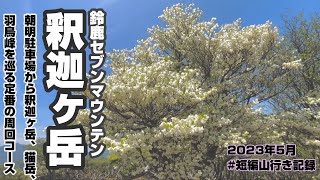 【登山】鈴鹿の釈迦ヶ岳　2023年5月　猫岳、羽鳥峰を通る周回ルート　#短編山行き記録