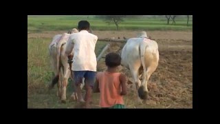 Nepal Today 176-110NTV+: Duck farming and Krishi Anusandhan ra Prabidhi