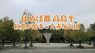 住めば都 高島平【紅葉が始まった赤塚公園】