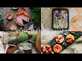 #143 Collection of Cooking & Baking through Four Seasons: Spring, Summer, Autumn & Winter
