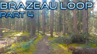 Let's Hike The Brazeau Loop - Part 4 - Brazeau Valley to Nigel Pass