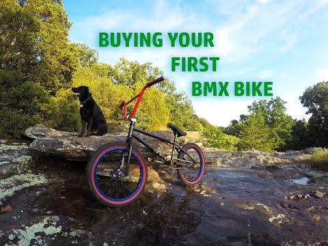 Buying Your First BMX Bike Buying Your First BMX Bike