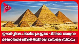 ഈജിപ്തിലെ പിരമിഡുകളുടെ പിന്നിലെ വാസ്തവം - മരണാനന്തര ജീവിതത്തിനായി ബ്രെഡും ബിയറും | Egypt Pyramids