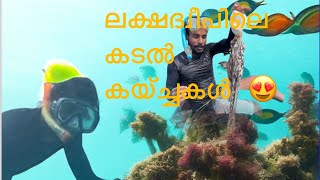 Octopus catching |ലക്ഷദ്വീപ് കടൽ കയ്ച്ചകൾ |😍 #youtube