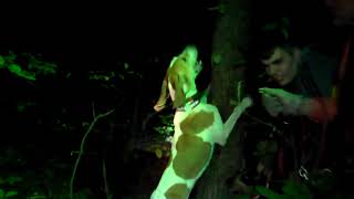 2011 UKC World Championship Final Cast | United Kennel Club