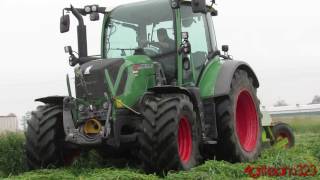 Fendt 313Vario - Claas Corto 3100N | sfalciatura loietto | agriteam323