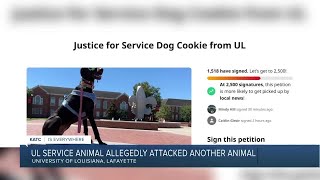 UL Service Animal allegedly attacked another animal