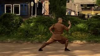 七星拳类 Shaolin 7 Stars Fist Qi Xing Quan by Master Shi Heng Yi of Shaolin Temple Europe en Deutschland