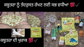 KabutrBaazpb10wale, ਕਬੂਤਰਾ ਲਈ ਸਭ ਤੋ ਜਰੂਰੀ ਗੱਲਾ ਤੇ ਖੁਰਾਕ ਜਰੂਰ ਚੈਕ ਕਰੋ #kabutar #pigeon #pigeonlove