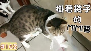 MiMi醬小短篇#162-歐巴好奇聞垃圾袋 結果..