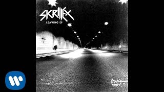Skrillex - The Reason
