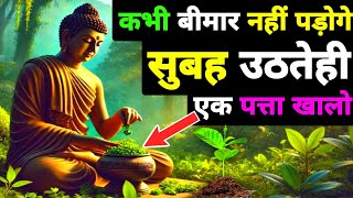 ये 1 पत्ता आपकी 90% बिमारियाँ ठीक करेगा | Buddhist Story To Betel Leaves Benefits