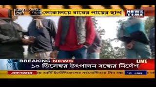 ফের মৈপিঠে বাঘের আতঙ্ক  ।  News Time Bangla