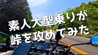 【Z900RS】ド素人の大型バイク乗りが峠を攻めてみた【モトブログ】