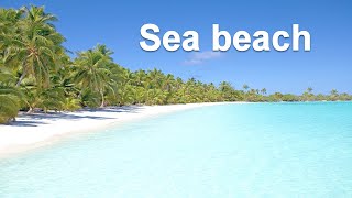 Beautiful sea beach views | wonder sea beach aerial sea beach video | drone video | 4k video footage