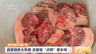 [三农长短说]冬日寻鲜 云南广南 自家精养大年猪 杀猪饭“点燃”家乡味 | 农业致富经 Agriculture And Farming