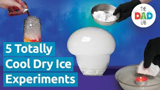 TOP 5 Dry Ice Experiments Compilation