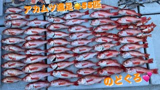 アカムツ遠足 のどぐろ 高知 爆釣遠足!! 美来丸