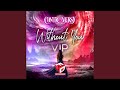 Without You (VIP)