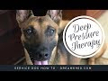 Service Dog Task Training - Deep Pressure Therapy - DreamK9.com Service Dog Task Training - Deep Pressure Therapy - DreamK9.com