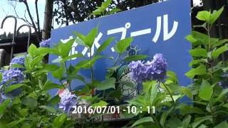 うきはかいねっと　道の駅より調音の滝、そして、周辺の滝も紹介　2016/07/01