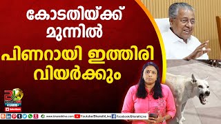 കോടതിയ്ക്ക് മുന്നിൽ പിണറായി ഇത്തിരി വിയർക്കും | Pinarayi Vijayan | Straw dogs | High court | CPM