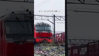 【✨鉄路の再会〜冷たい雨も忘れる久しい弟の声‥DF200物語✨】in 札幌貨物ターミナル駅