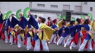 笑歓星 ヤートセ秋田祭 2017