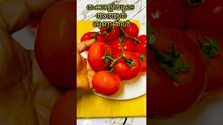 തക്കാളി യുടെ അത്ഭുത ഗുണങ്ങൾ #trending #tomato #helthbenifits #helthtips #healthy