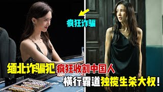 “缅北的诈骗犯”到底有多嚣张？不仅疯狂收割数十亿，手下小弟上千，甚至独揽生杀大权！一口气看完《孤注一掷》