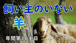 カトリック✝️年間第１６主日 （2024.7.21　B年）