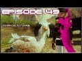 Lightning Returns: Final Fantasy 13 - The Fallen Angel Rescue - Episode 49