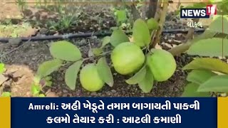 Amreli | અહી ખેડૂતે તમામ બાગાયતી પાકની કલમો તૈયાર કરી આટલી કમાણી | Agriculture News | Local 18