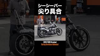 BIGタンク＆タンク塗装が魅力‼️ブレイクアウトカスタム‼️#harleydavidson  #ハーレーダビッドソン#ブレイクアウト