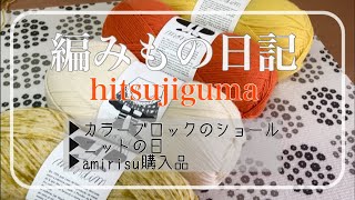 ep.37/カラーブロックのショール/ニットの日/amirisu購入品紹介