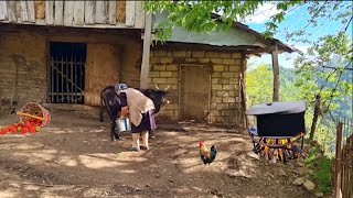 A DAY TO THE MOST BEAUTIFUL VILLAGE OF AZERBAIJAN