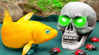 Greedy Koi Fish Was Tricked Out of All His Gold - Primitive Cooking - Stop Motion Asmr Coco