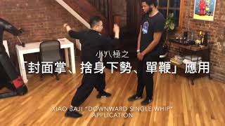 小八極「捨身下勢、單鞭」應用 Xiao Baji - “Downward Single Whip” Application