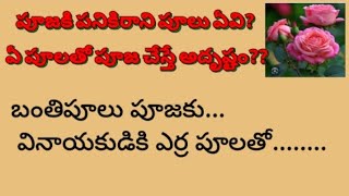 పూజకి పనికిరాని పూలు ఏవి?ఏ పూలతో పూజ చేస్తే అదృష్టం?